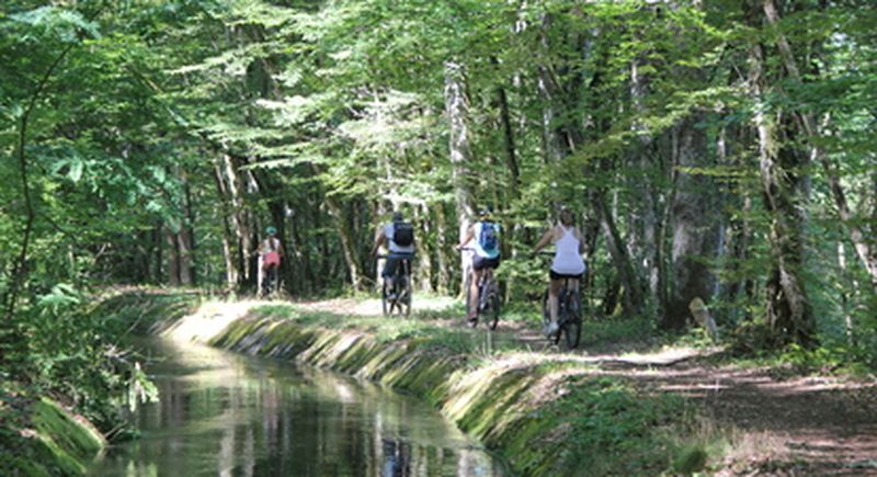 Billet Location de VTT et VTCAE à Bazolles dans la Nièvre en Bourgogne