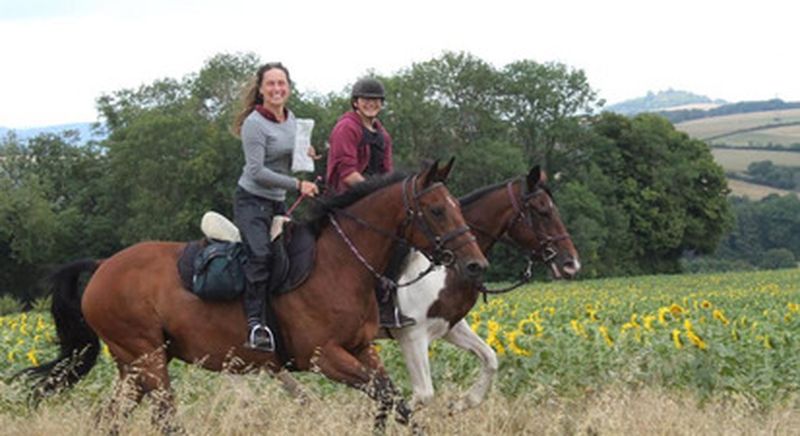 Billet Balade à cheval en pleine nature près d'Auxerre