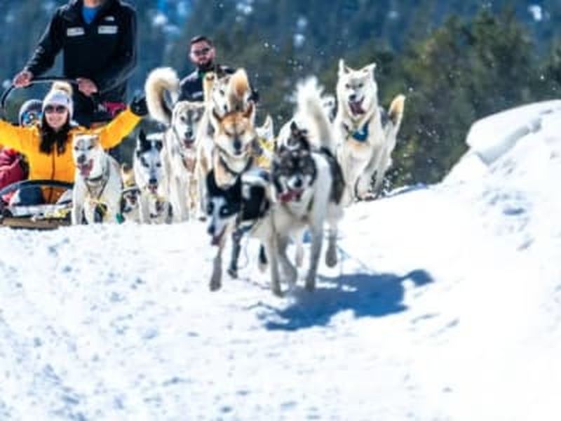 Randonnée en chiens de traîneau depuis Grau Roig, Grandvalira, Andorre