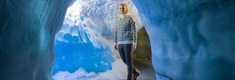 Billet pour le Musée Perlan