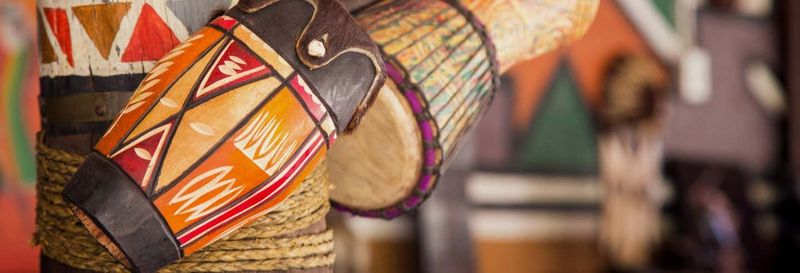 Lion Safari Park + Village Culturel de Lesedi