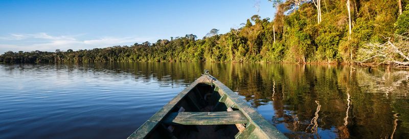 Billet Excursion dans la forêt amazonienne + Randonnée