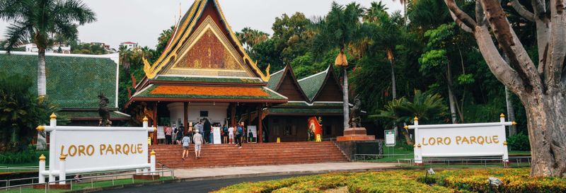 Offre : Loro Parque + Siam Park