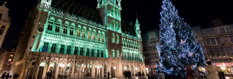 Free tour dans Bruxelles à Noël