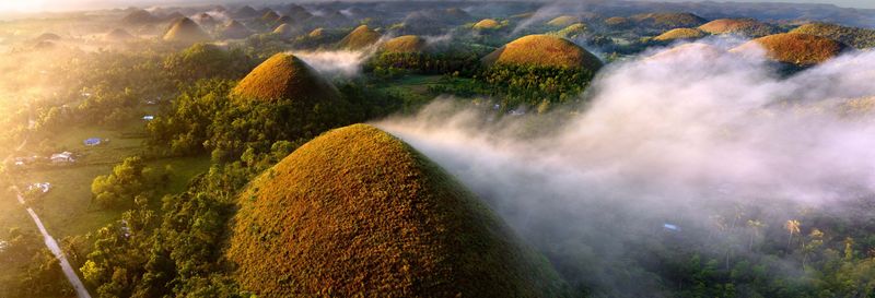 Excursion aux Chocolate Hills