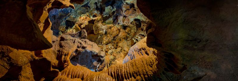 Excursion aux grottes de San José