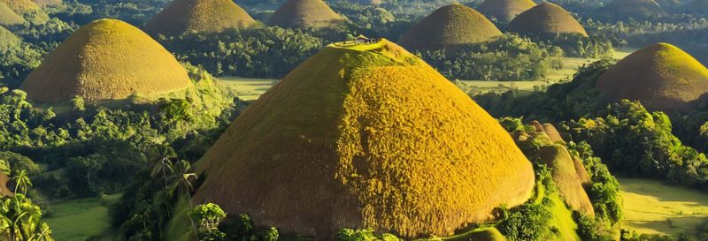 Excursion aux Chocolate Hills