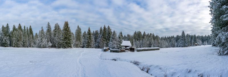 Excursion aux Montagnes Olympiques et à Vrelo Bosne