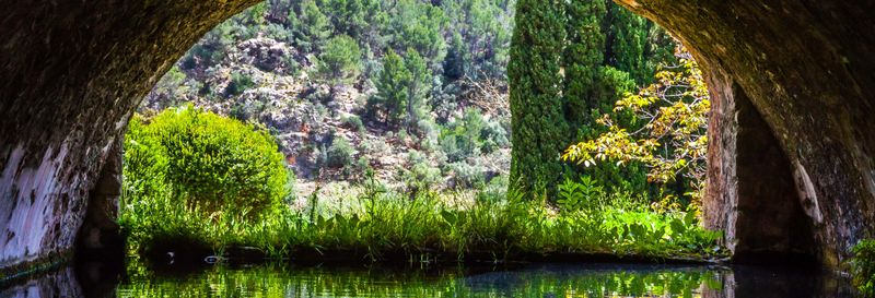 Billet pour les jardins d'Alfabia