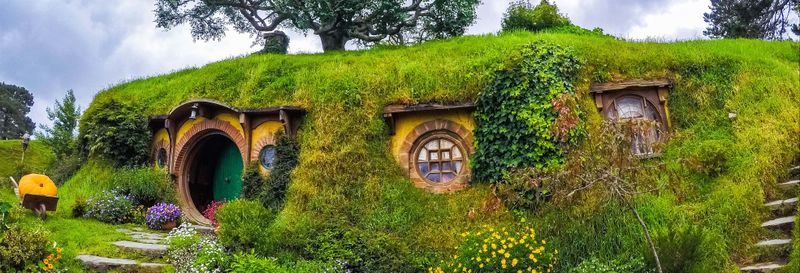 Excursion à Hobbiton + Grottes de Waitomo