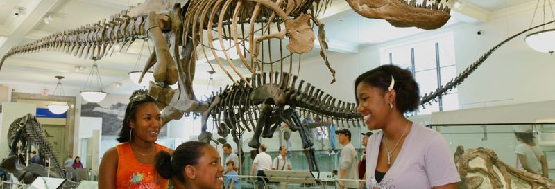 Billet pour le Musée américain d'histoire naturelle