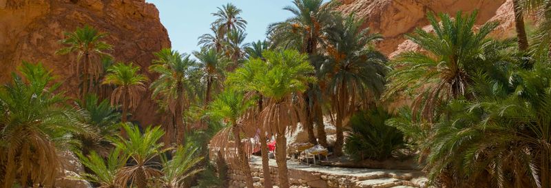 Excursion de 2 jours à Chott El Jerid, Tozeur et Douz