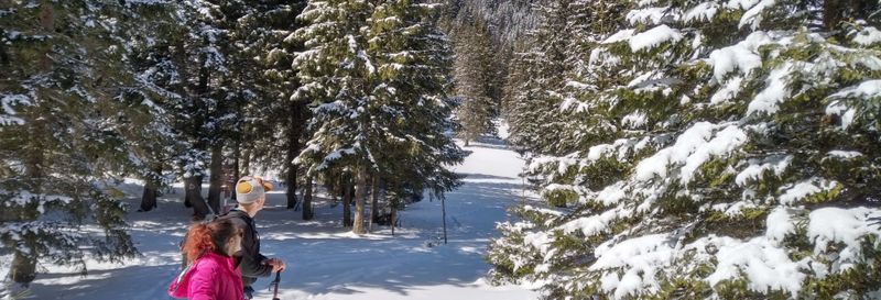 Randonnée au parc national Piatra Craiului