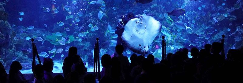 Billet pour Aquaria KLCC