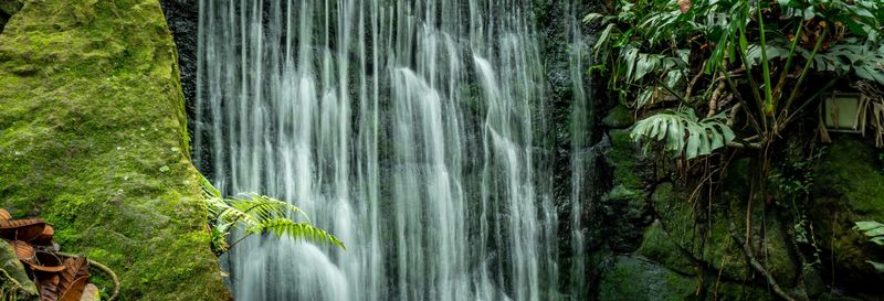 Visite du jardin botanique de Bogota