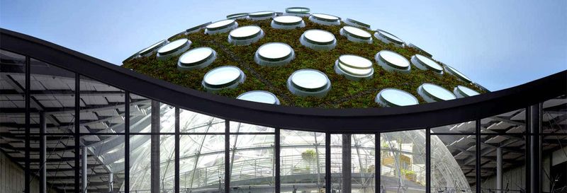 Billet pour l’Académie des Sciences de Californie