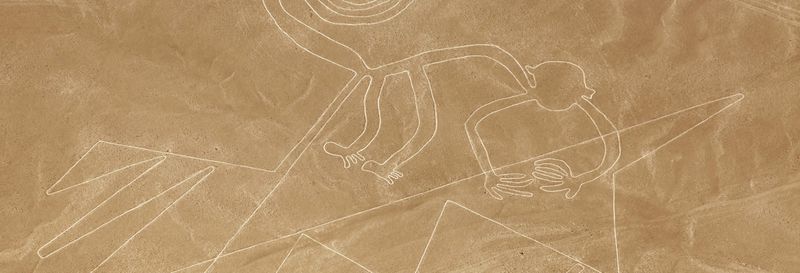 Excursion aux îles Ballestas et à Huacachina + Vol au-dessus des lignes de Nazca