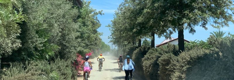 Billet Balade à vélo dans les vignobles de la vallée de Guadalupe