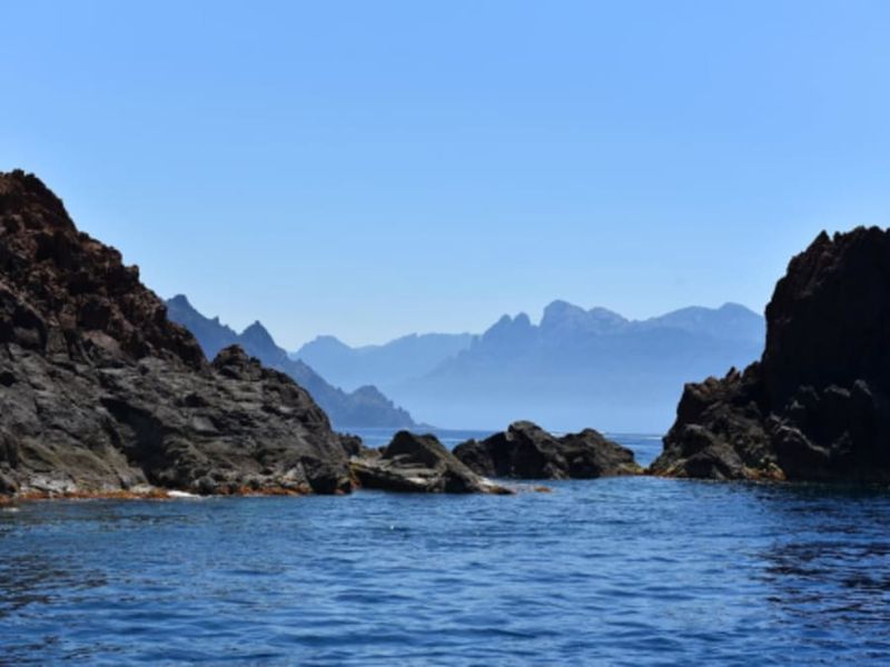 Croisière en bateau semi rigide dans la Réserve de Scandola (20)