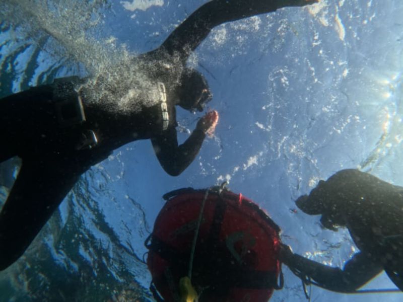 Billet Accompagnement privé en apnée sous-marine à Groix (56)