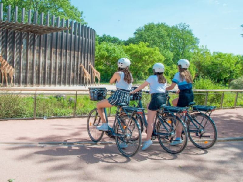 Visite du Parc de la Tête d'Or à Vélo électrique à Lyon  (69)