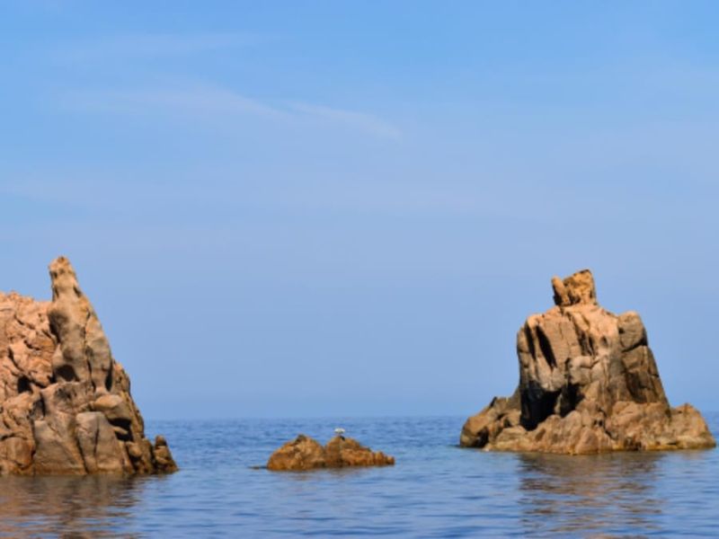 Après-midi en bateau Réserve de Scandola et Girolata (20)