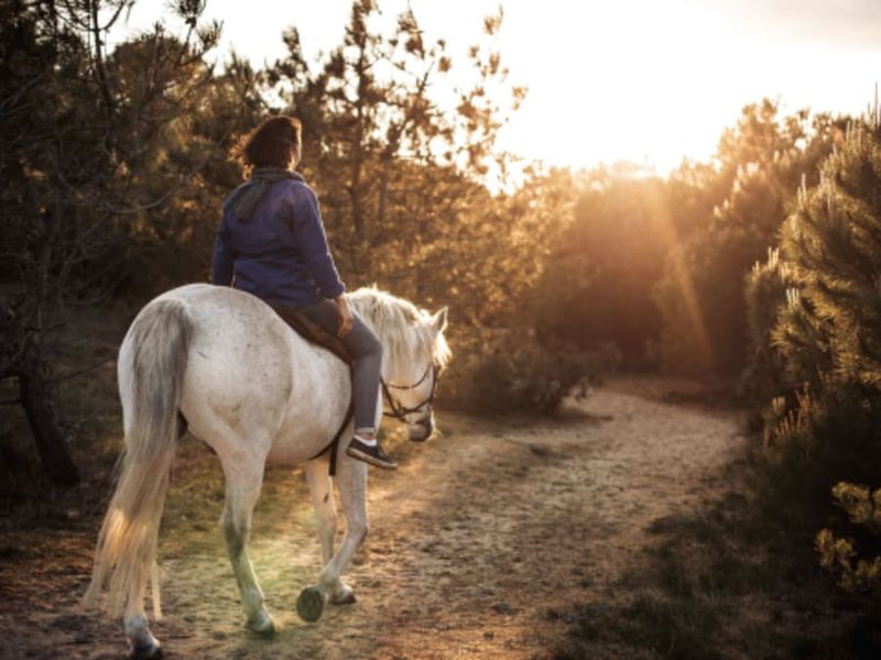 Billet Balade privée à cheval à l'Ile d'Yeu (85)