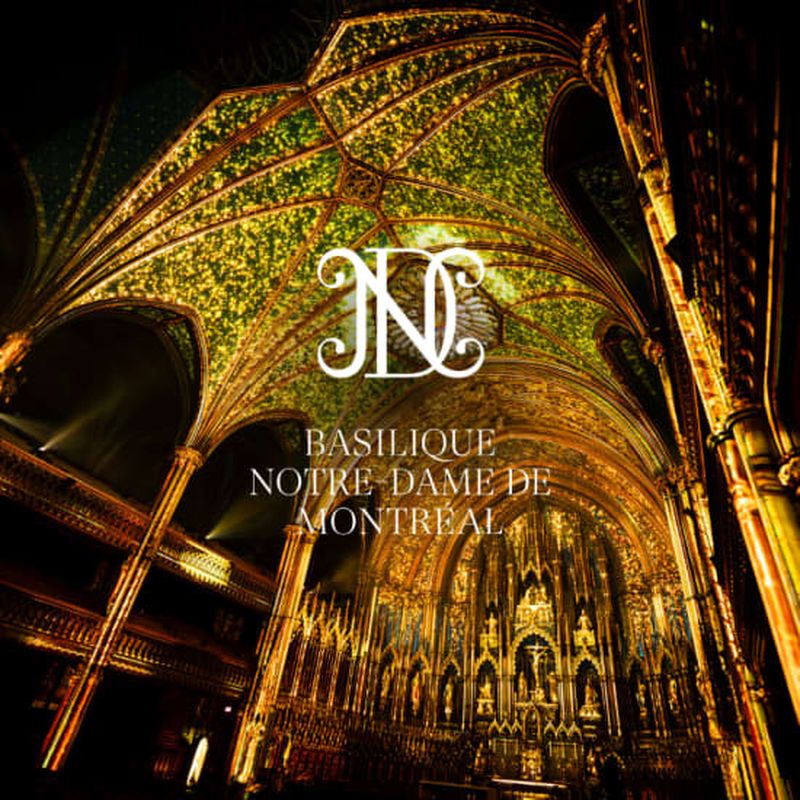 Offre combinée: Visite touristique + L’expérience AURA à la basilique Notre-Dame de Montréal