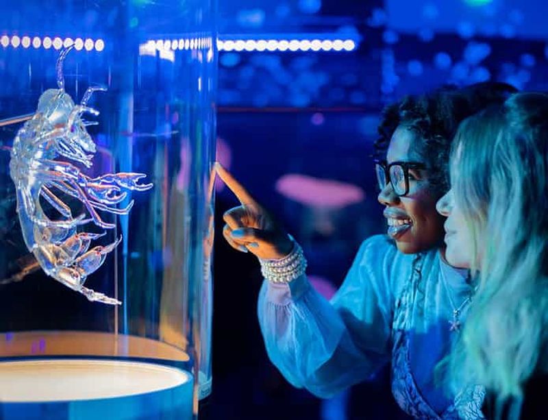 San Francisco : California Academy of Sciences billet d'entrée