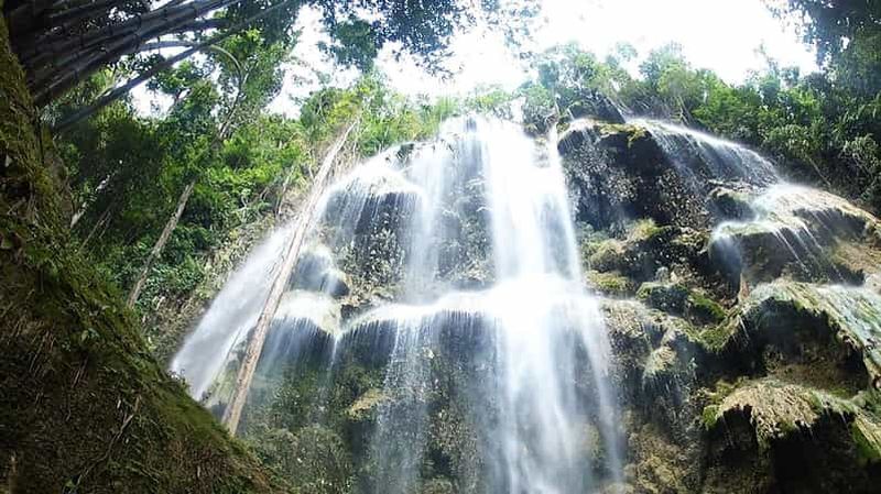 Cebu : WhaleShark, chutes de Tumalog et plongée en apnée à Sardine Run