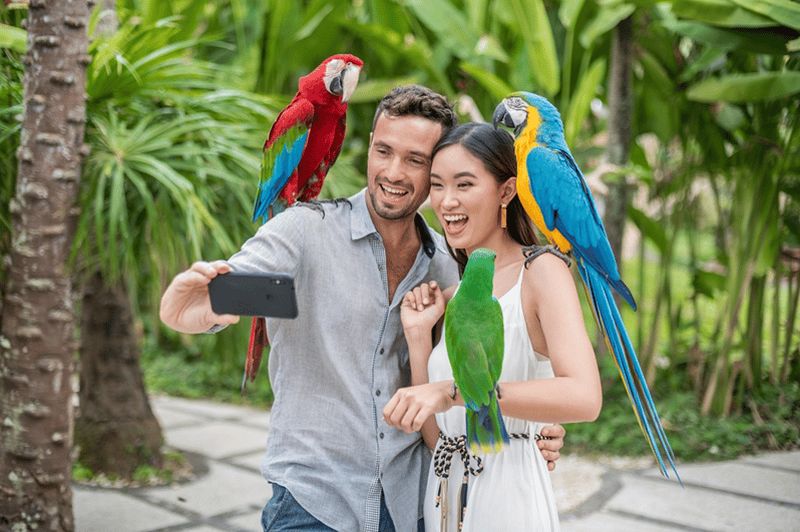 Parc ornithologique de Bali : billet 1 jour
