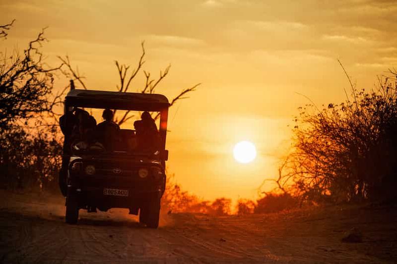 Chutes Victoria : safari de 2 jours dans le parc national de Chobe