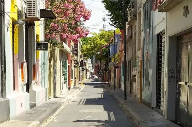 Dégustation de vin argentin et de Malbec de première qualité et visite d'art urbain