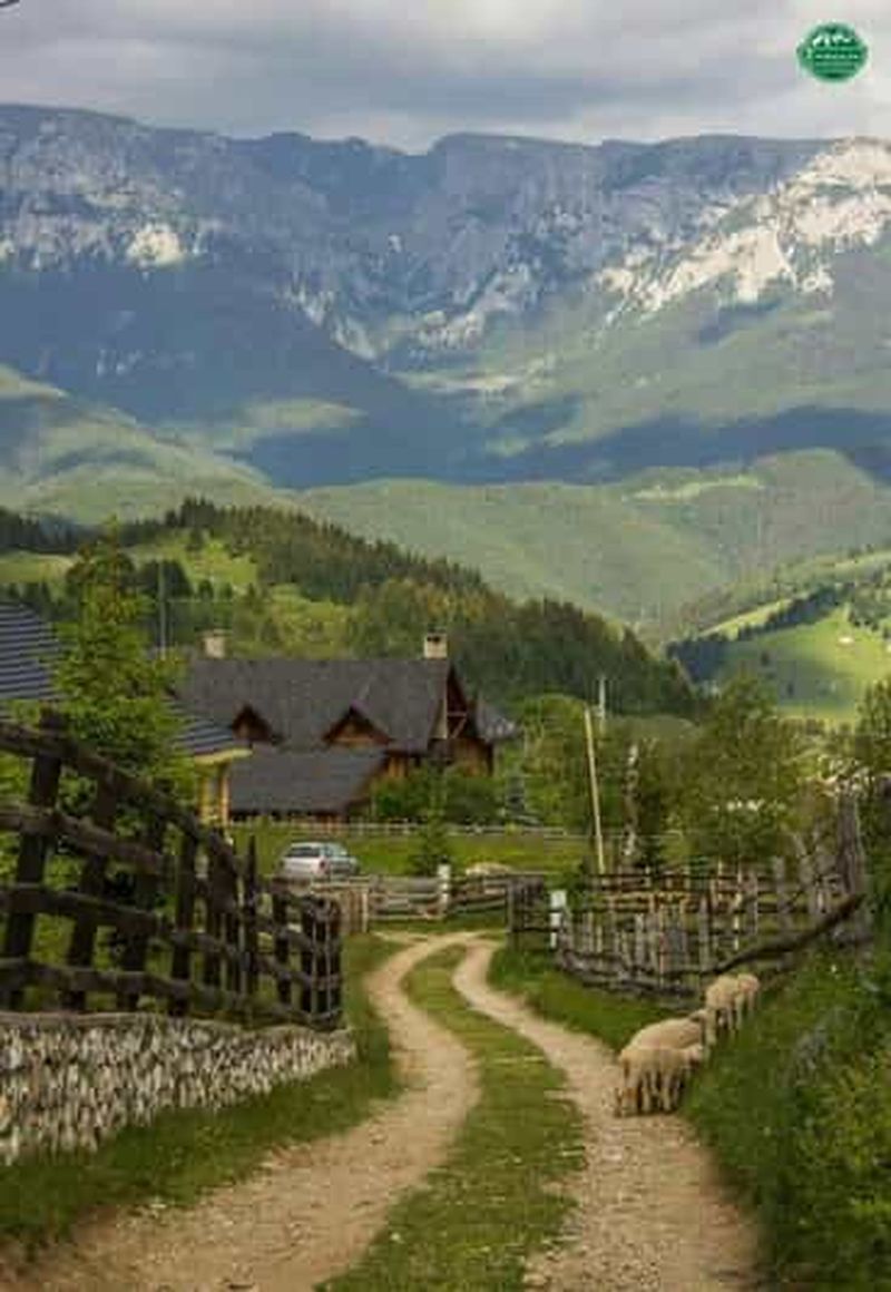 Bucarest : visite des villages et de la campagne roumaine