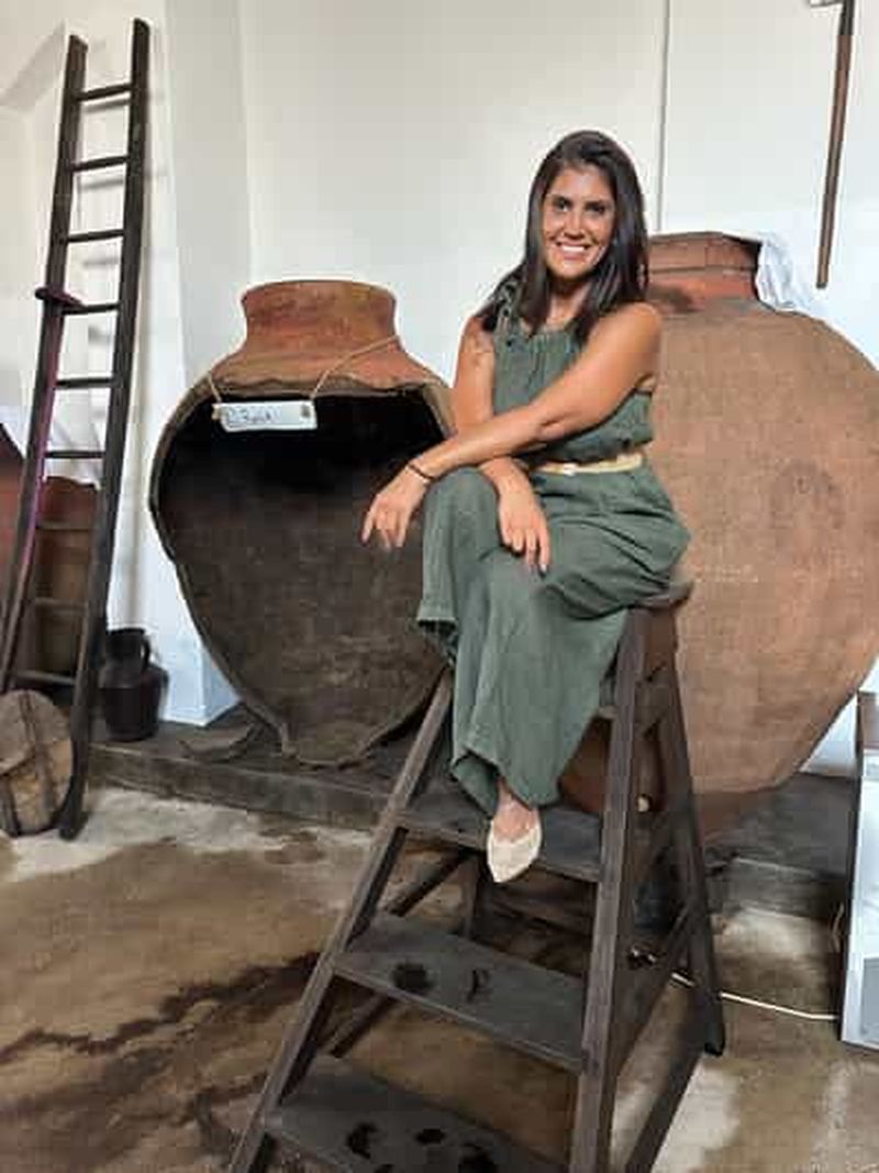 Reguengos De Monsaraz : Vinho de Talha et Œnotourisme Authentique dans l'Alentejo