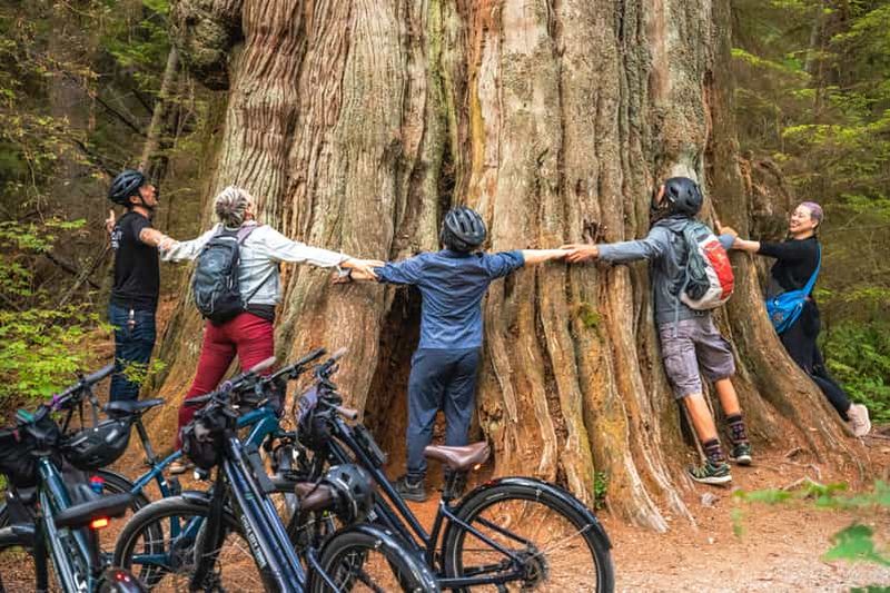 Vancouver : Visite du parc Stanley à vélo