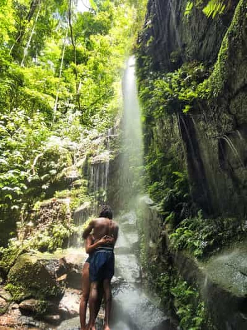 Rio : randonnée guidée dans la forêt de Tijuca