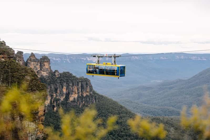 Sydney : Blue Mountains Scenic World, Wildlife Park et déjeuner