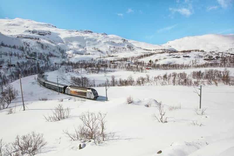 Bergen : village viking, croisière dans le Nærøyfjord et chemin de fer de Flåm