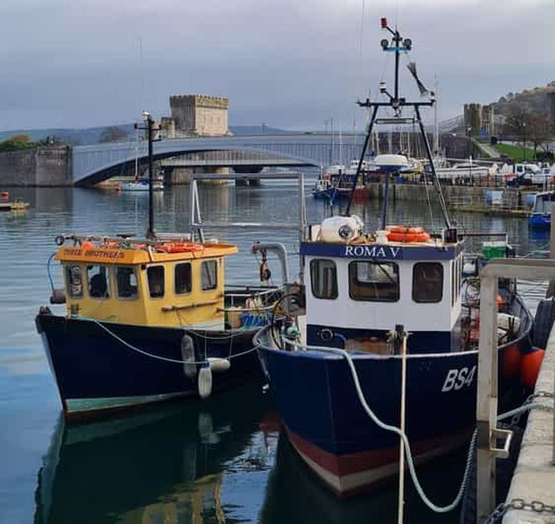 Conwy : visite à pied guidée de la ville de Conwy