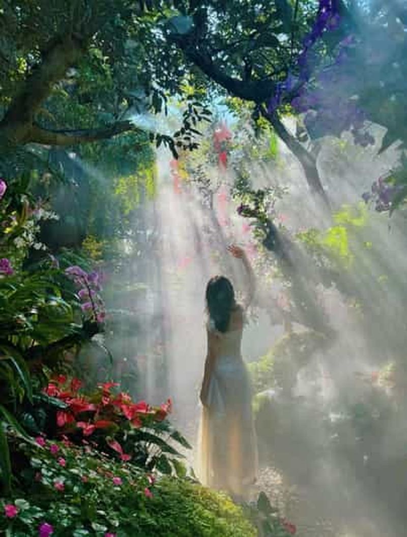 Chiang Mai : visite du café Lalitta et des temples blanc, bleu et rouge