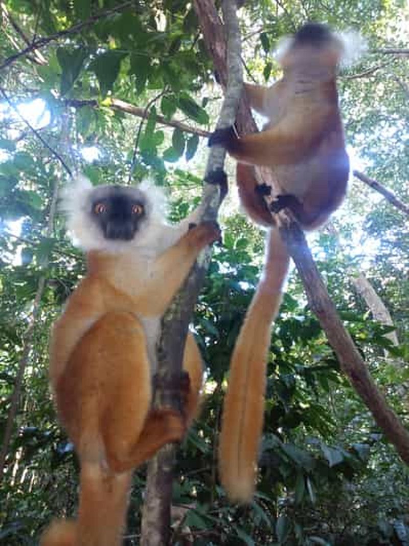 Billet Randonnée Nosy Komba