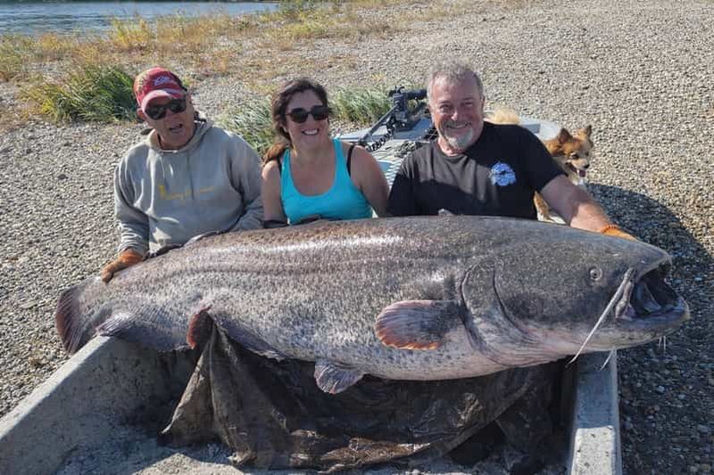 Pêche du silure en Camargue et visite en bateau du pont d'Avignon