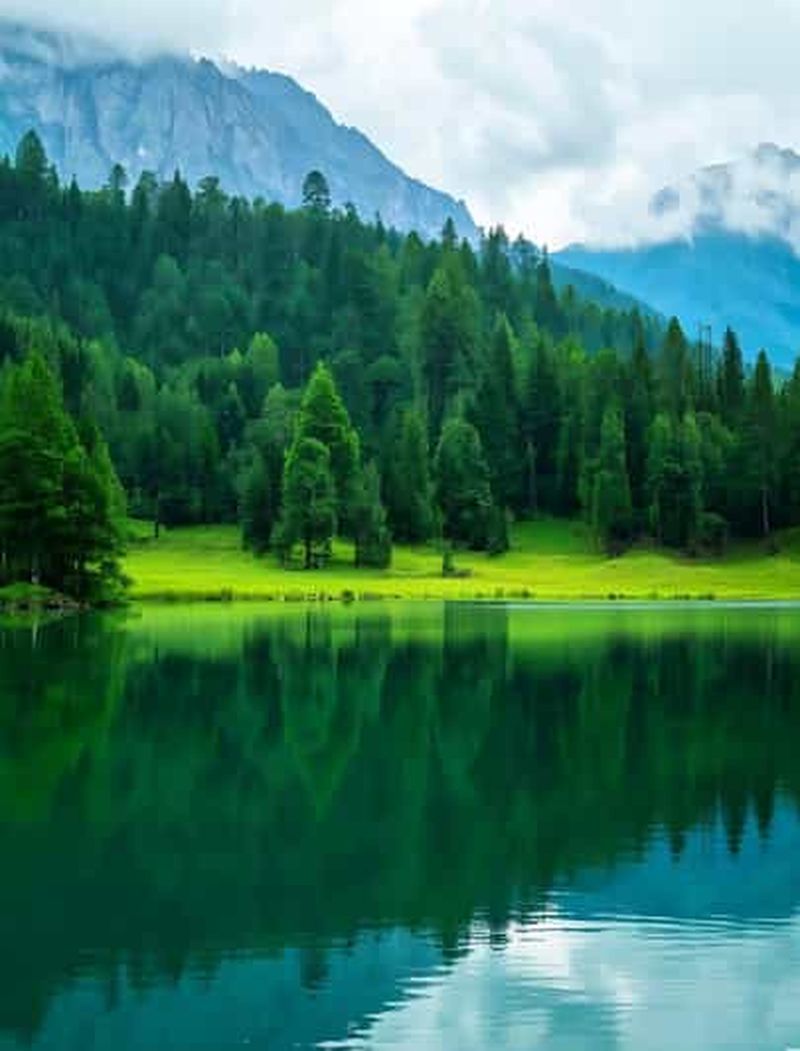 Chengdu : billet d'entrée officiel pour le mont Qingcheng