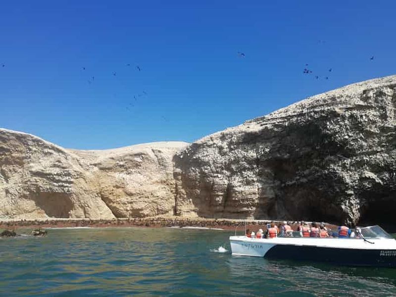 Lima : visite privée des îles Ballestas, des vignobles et des lignes de Nazca