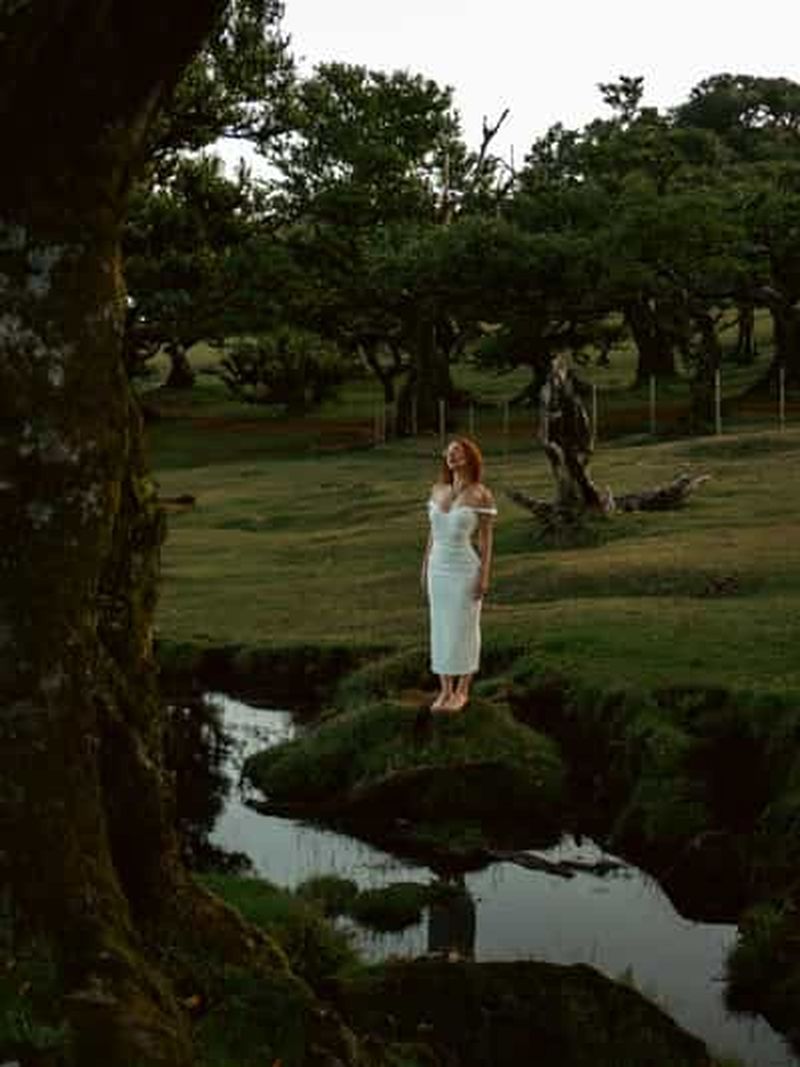 Madère : Forêt de Fanal, Piscines de Lave et Dégustation de Vin
