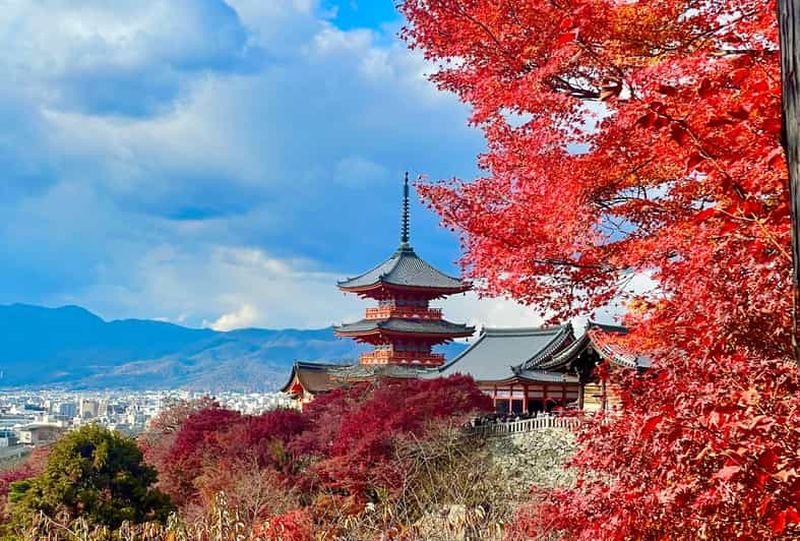 Kyoto : Fushimi Inari-taisha y Kiyomizu-dera (Guide espagnol)