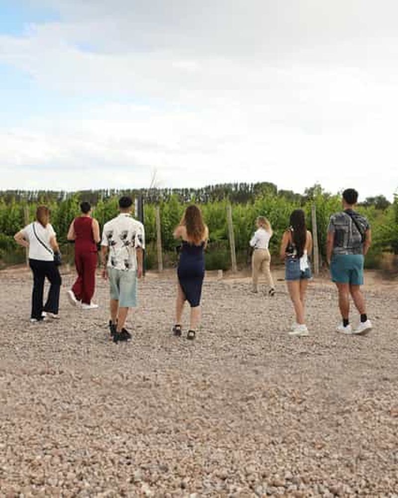 Billet Mendoza : Visite de dégustation de vins avec déjeuner et transport privé