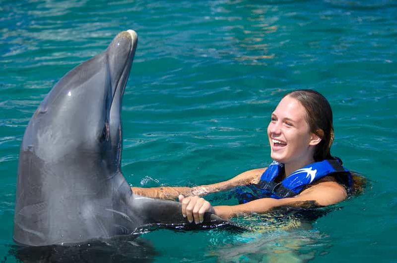 Punta Cana : Baignades et interactions avec les dauphins