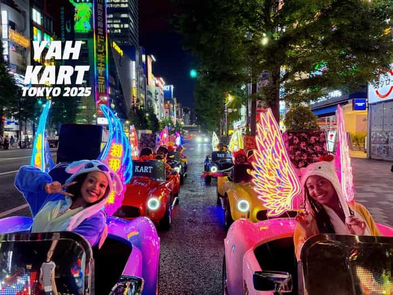Tokyo : expérience de karting à Akihabara (avec guide)